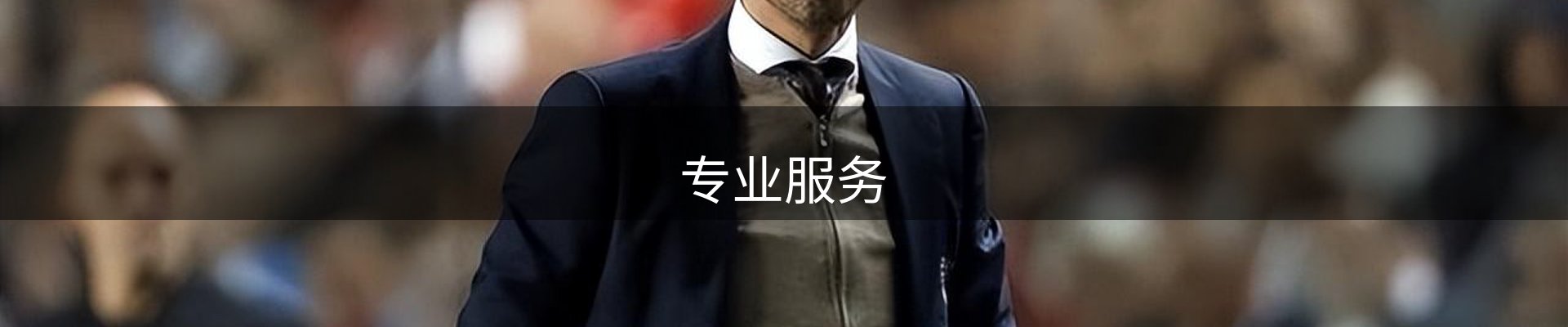 专业服务